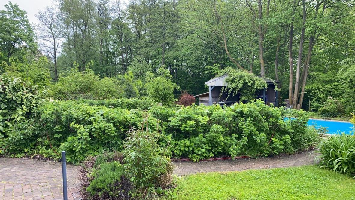 Haus West Villa Mechelsdorf Eksteriør bilde